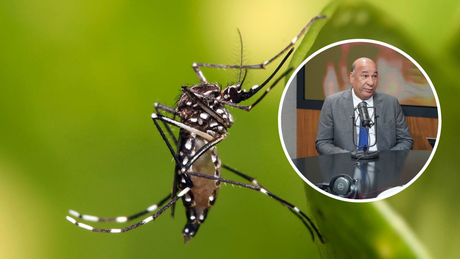 Advierten sobre posible epidemia de dengue en RD