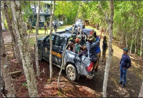 Operativos Los Haitises: detienen 246 personas incendios forestales